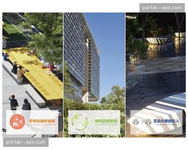 体育赛事版权经纪深度融合 打造内容带人的复合模式